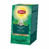 Zāļu tēja LIPTON MINT, 30 piramīdas maisiņi paciņā